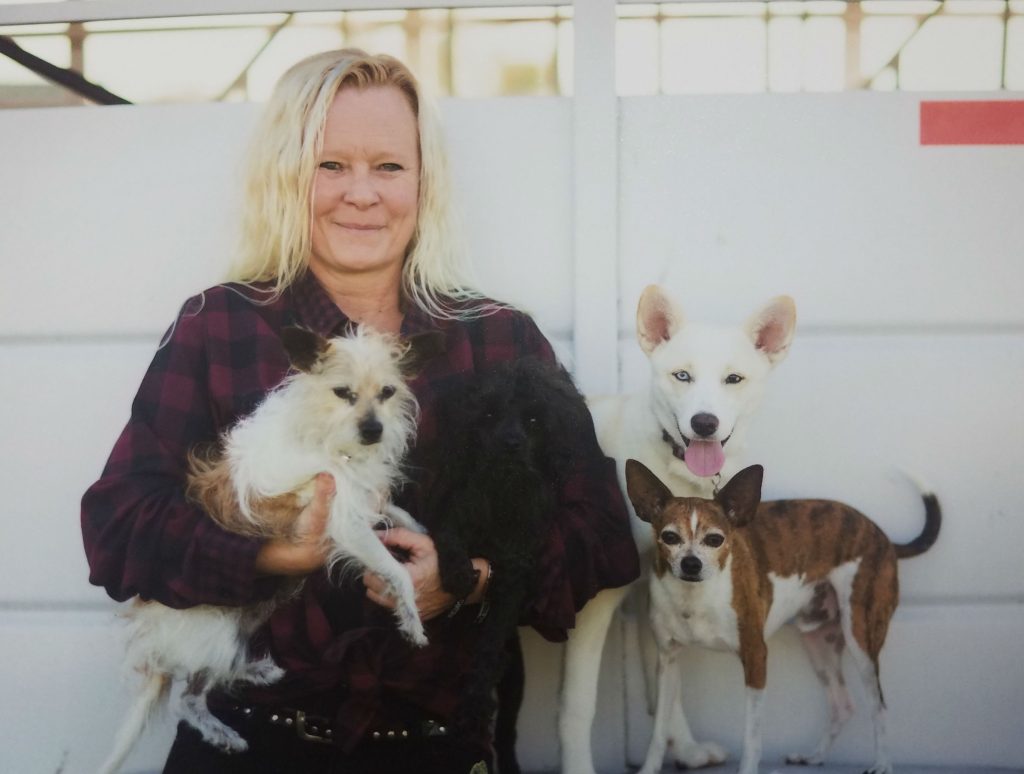 Our Veterinary Staff Alta Vista Animal Hospital